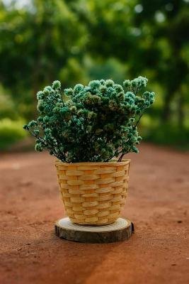Bamboo Mini Basket 4 Inch