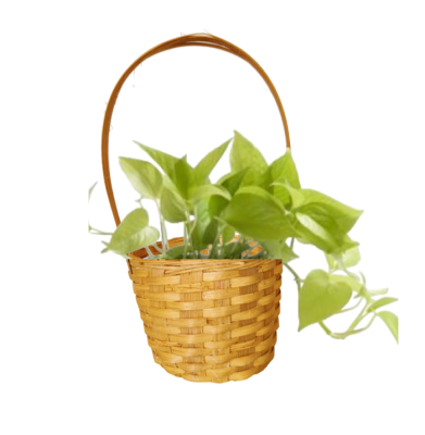 Bamboo Mini Hanging Wall Planter
