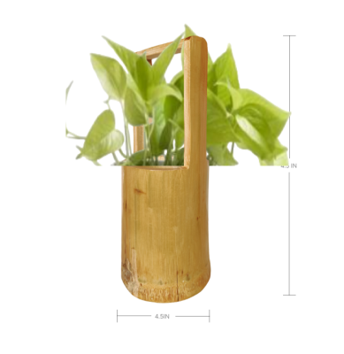Bamboo Planter