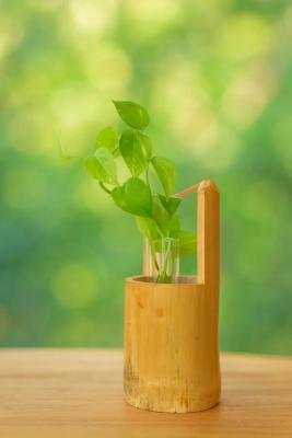 Bamboo Planter