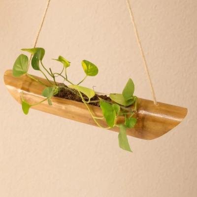 Bamboo Hanging Planter