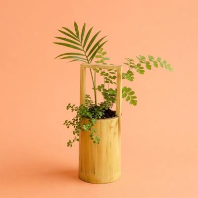Bamboo Planter